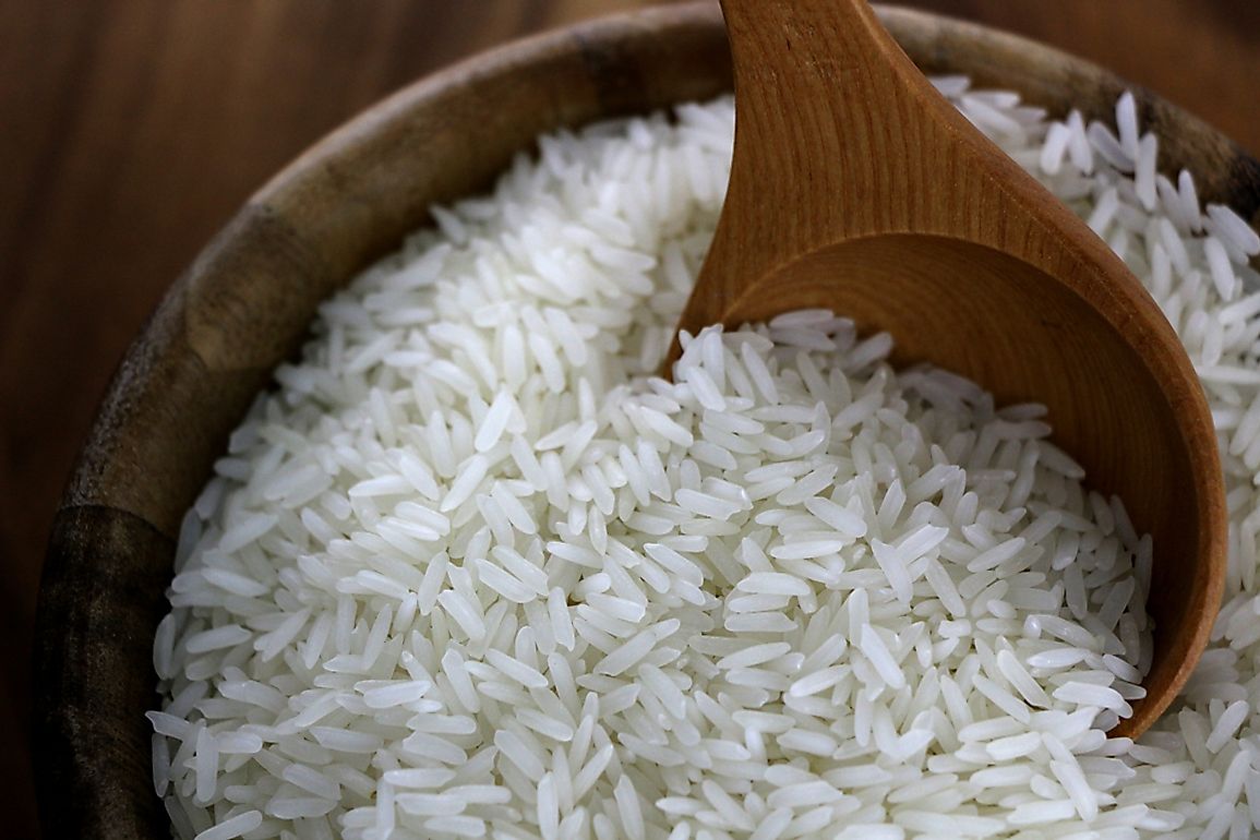 Jasmine rice in particular has been of importance in the global rice trade, along with other prominent types such as Basmati and Glutinous rice.
