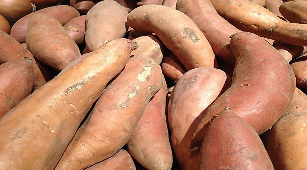 Yams on display for sale.