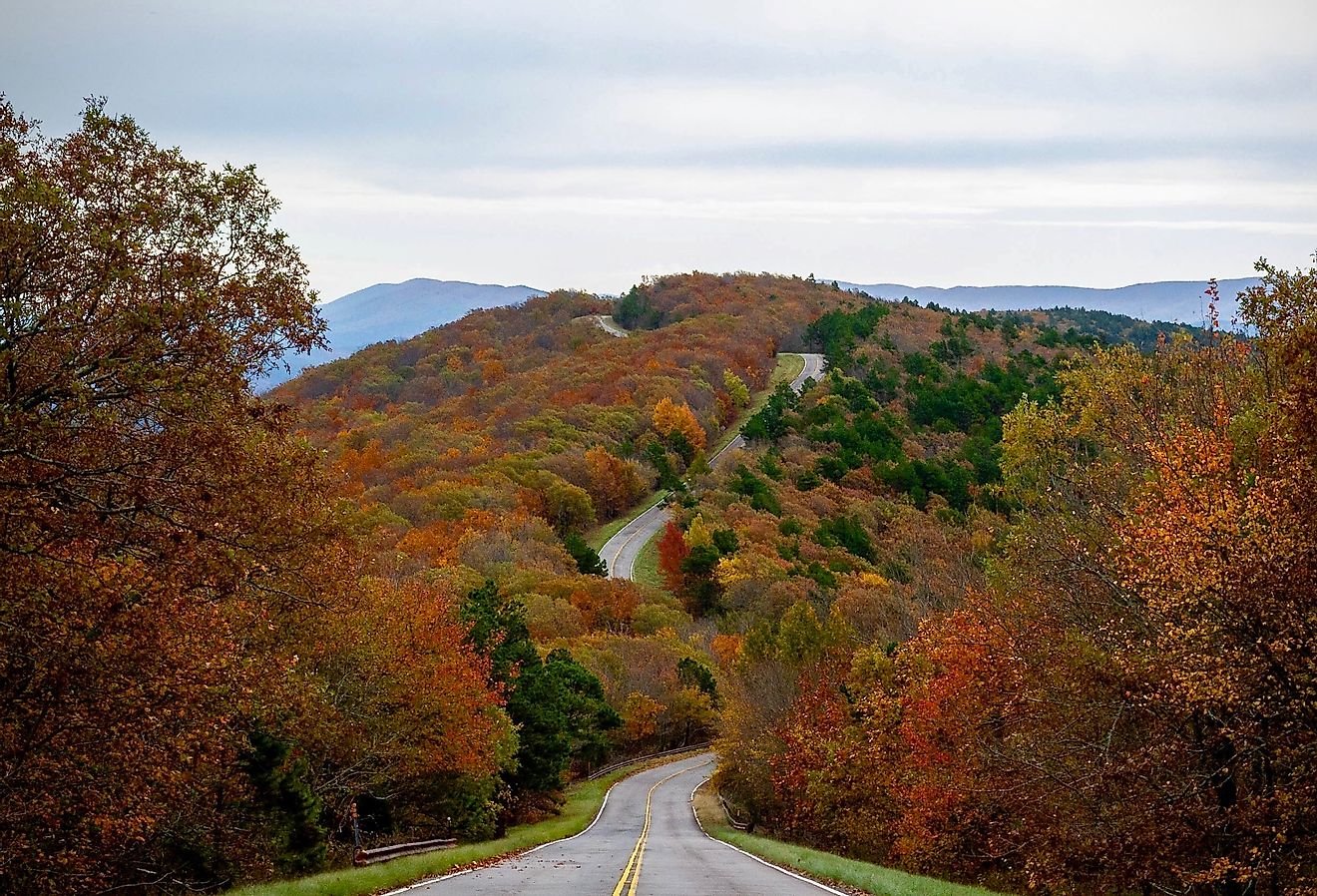 Overlooking a hill along the Talimena National Scenic Byway with stunning fall colors.
