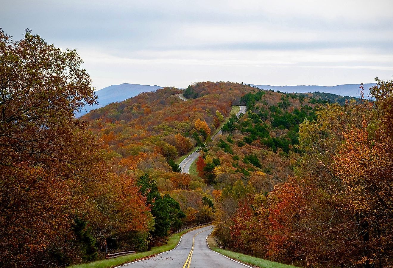 Overlooking a hill along the Talimena National Scenic Byway with stunning fall colors.