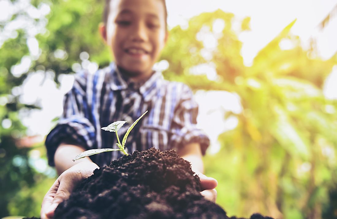 World Soil Day celebrated the importance of soil in healthy ecosystems and worldwide food security.