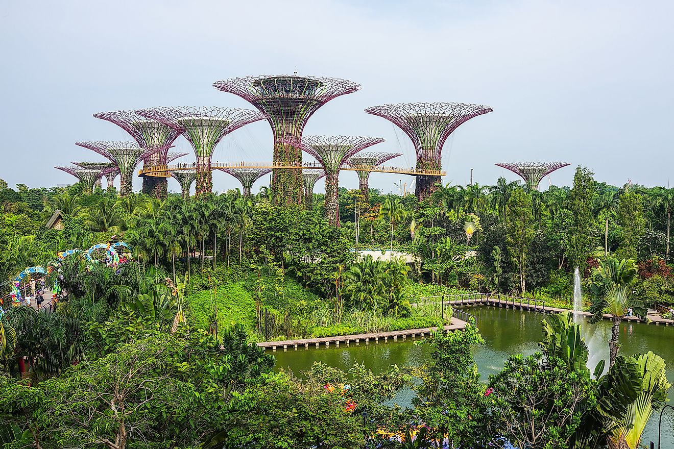Aerial view of the botanical garden, Gardens by the Bay in Singapore. Image credit: Alan Tan Photography/Shutterstock.com