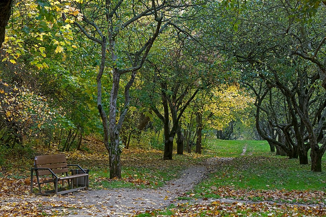 Path through Moscow's Kolomenskoe Park.