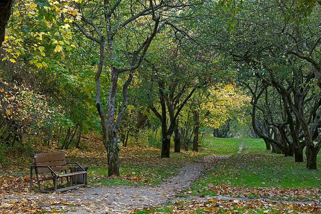 Path through Moscow's Kolomenskoe Park.