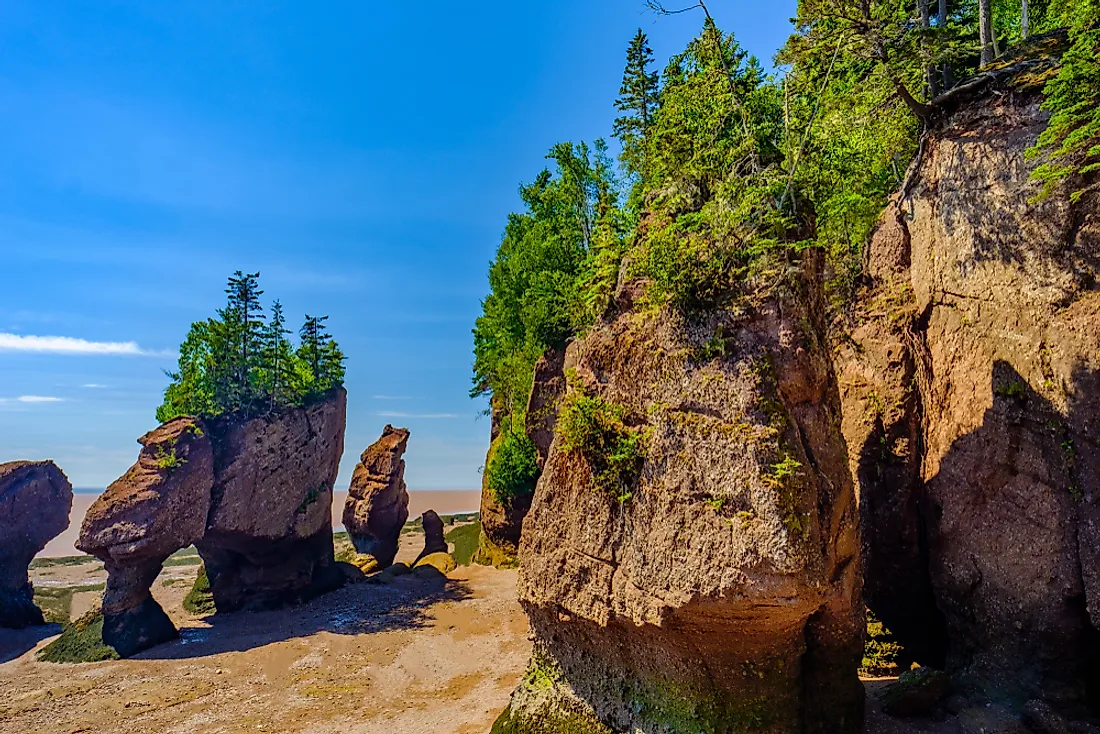 Low tide at the Bay of Fundy. 