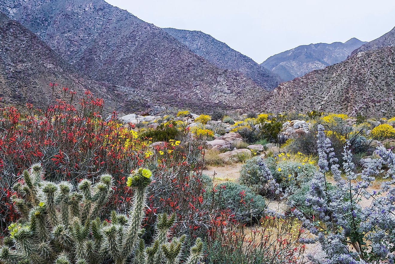 El Centro, California