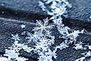 Fact Check – Are No Two Snowflakes Exactly Alike?