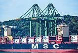 Container terminal with gantry cranes and berthed MSC merchant ship during cargo operation in port of Balboa, Panama. Image credit Mariusz Bugno via Shutterstock