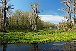 Boat on Wakulla Spring, Florida.