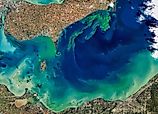 Algae Bloom in Lake Erie.