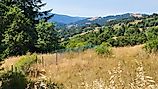 Roadside vista of rolling hills and forest lands of Humboldt County, California. 
