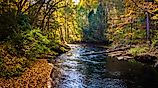 Early autumn color along the Gunpowder River in Gunpowder Falls State Park, Maryland.