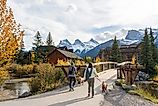 People walk dogs in Canmore, Alberta.