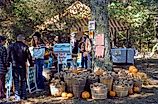 Sweet Potatoes & Pumpkins in Hohenwald, Tennessee, via Richard Melton on Flickr.com