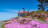 Battery Point Lighthouse in Crescent City, California.
