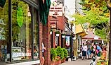 Downtown Saugatuck, Michigan. Image credit Kenneth Sponsler via Shutterstock