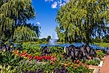 A beautiful summer landscape at Chicago Botanic Garden. 