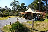 Campground and wildlife at St Andrews State Park Florida. 