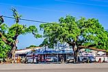 Marshall Marine Supply in Bayou La Batre, Alabama. Image credit Carmen K. Sisson via Shutterstock