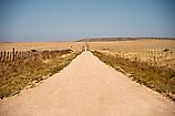 Road leading to Mills Canyon in Harding County, New Mexico.