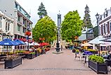 Trafalgar street in Nelson, New Zealand. Image credit: trabantos / Shutterstock.com.