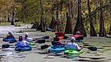 Champagne's Cajun Swamp Tours in Breaux Bridge, Louisiana.
