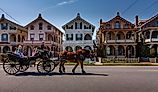 Carriage ride in Cape May, New Jersey