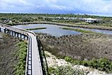 Big Lagoon State Park In Pensacola Florida.
