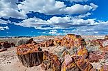 Petrified wood at the badlands of the Petrified Forest National Park in Arizona. 