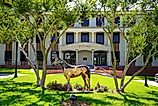 Ocala City Hall. Image by JennLShoots via Shutterstock. 