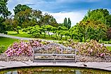 Lush plants on sunny summer day at Minnesota Arboretum, near South Lake Minnetonka.