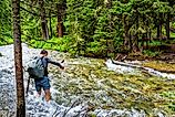 A hiker trying to cross a fast-flowing river in the White River National Forest, Colorado.