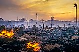 <p>The Earth has lost roughly 420 million hectares of forest since 1990, an area larger than India, according to the State of the World's Forests report from the United Nations' Food and Agriculture Organization. The pace has eased, and replanting now off