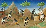 Enslaved people harvesting pepper. Illustration from a French edition of The Travels of Marco Polo. Image credit: Maître de Boucicaut et Maître de Mazarine, Public domain, via Wikimedia Commons.
