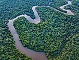 The Amazon River in the tropical rainforest