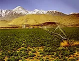 Watering a farm in Imperial Valley, California