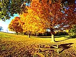 Welcome to Wilmington: pictured here, Brandywine Creek State Park. 