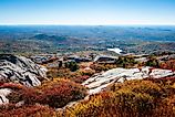 New Hampshire forest and bushes seen from the top of Mount Monadnock.