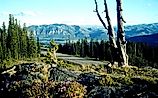 View of mountains and the road from Clarks Fork Overlook along Beartooth Scenic Highway.