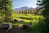 Beautiful summer view of Shoshone National Forest, in the Brooks Falls area near Dubois. 