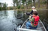 A dad nets a nice walleye caught by his son on a lake in northern Minnesota