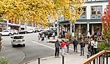 Friday Harbor, Washington, United States.