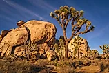 Joshua Tree National Park hiking trail landscape, located near Los Angeles. 