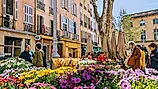  Shoppers browsing vibrant flower market stalls in Aix-en-Provence (Editorial credit: Volker Vornehm / Shutterstock.com) 