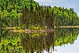 Lake in Nipigon Ontario Canada showing scenic view of Cedar Pine forest
