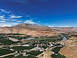 Drone view of vineyards and farmland along the Colorado River near Grand Junction, Colorado.