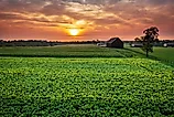 Scenic aerial view of tobacco farm in Central Kentucky at sunset