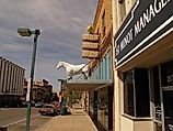 Downtown Minot, North Dakota. Image credit In memoriam afiler, CC BY-SA 2.0 , via Wikimedia Commons