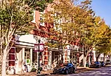 Shady trees lining the sidewalk in New Bern's Historic District. Image credit Wileydoc via Shutterstock.