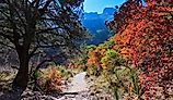 Guadalupe Mountain trail in Texas.